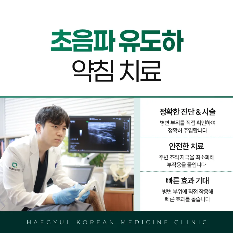 초음파 유도하 약침 치료 안내